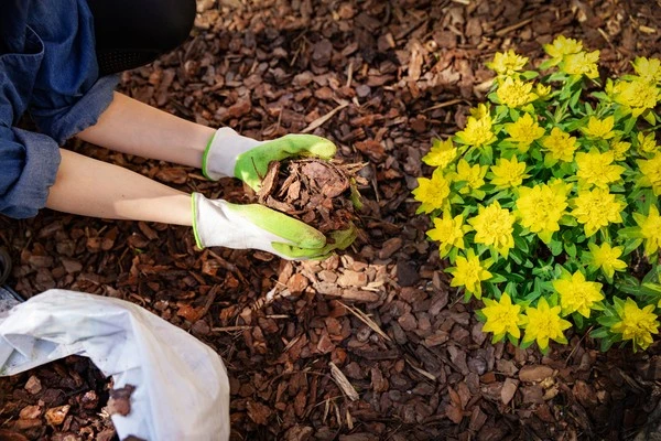 Benefits of Mulching for Land Reclamation After Demolition Brownsboro TX