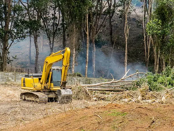 Key Considerations Before Starting Land Clearing Projects Brownsboro TX Key Considerations Before Starting Land Clearing Projects Brownsboro TX