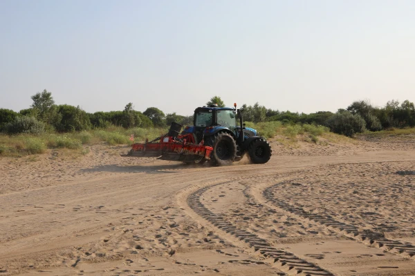 Professional Land Clearing Brownsboro TX