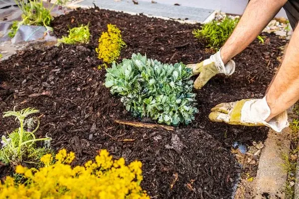 Professional Mulching Brownsboro TX